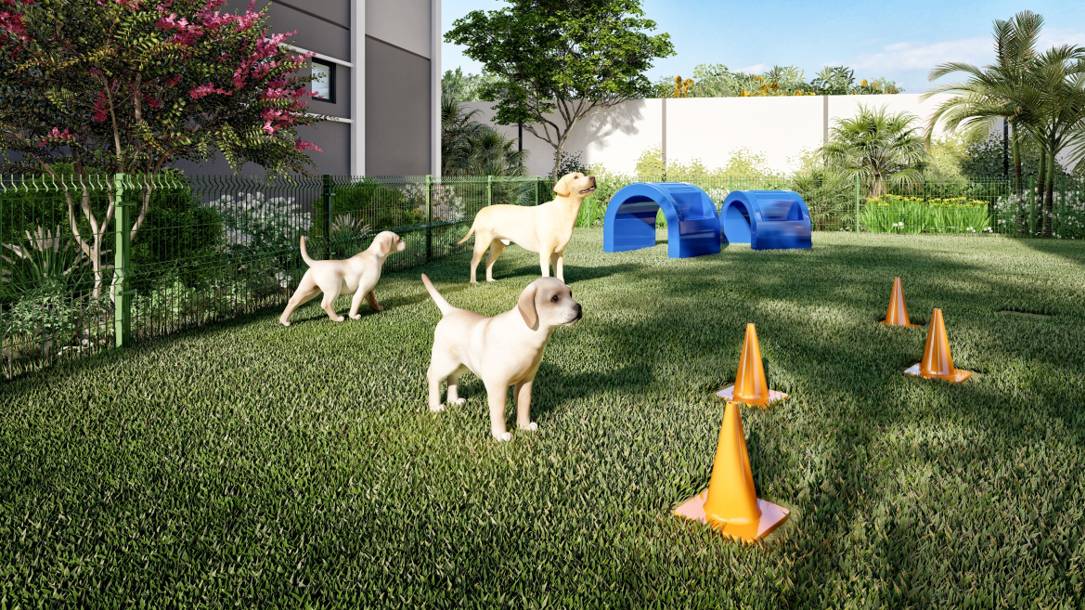 ipojuca-indianopolis-2-espaco-pet